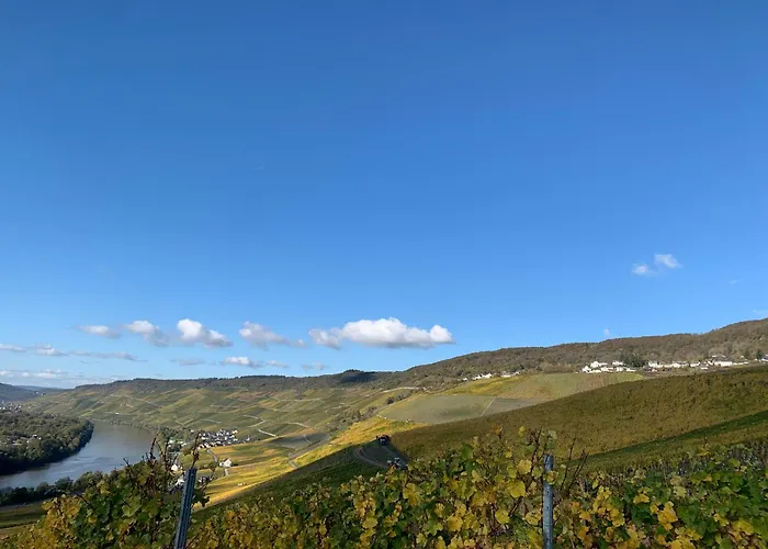 Weinhof Michael Morbach