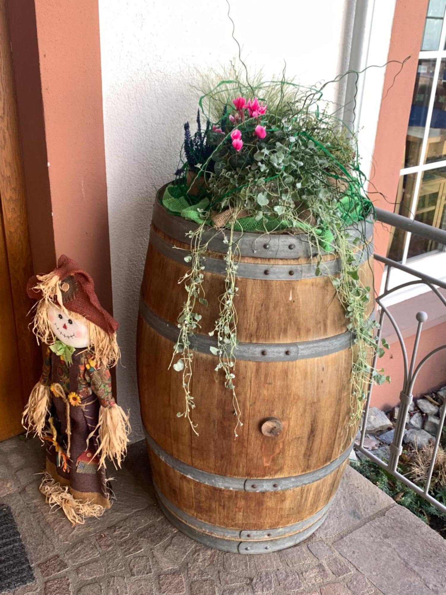 Weinhof Michael Morbach Zeltingen-Rachtig