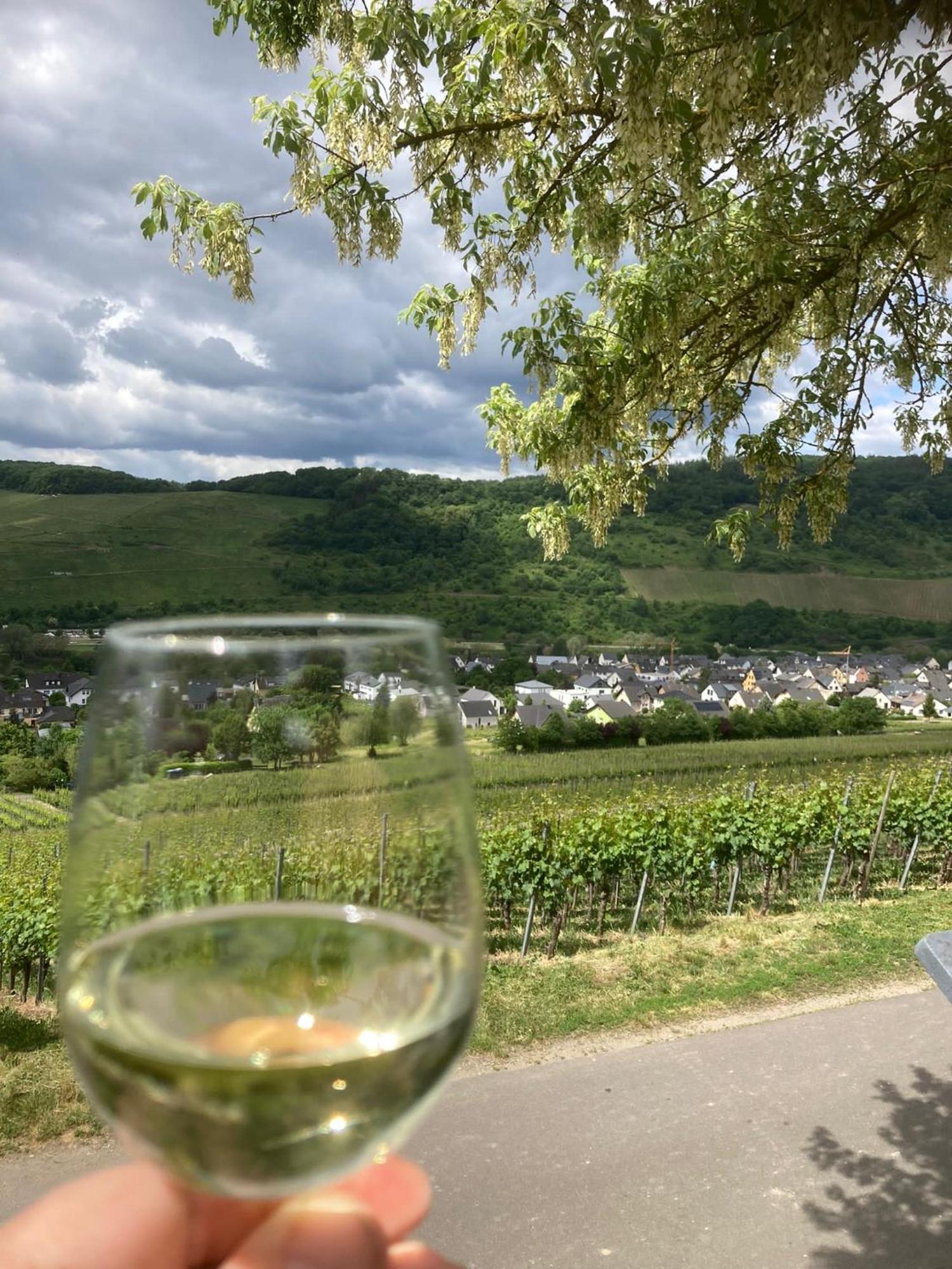 Weinhof Michael Morbach Pensión Zeltingen-Rachtig