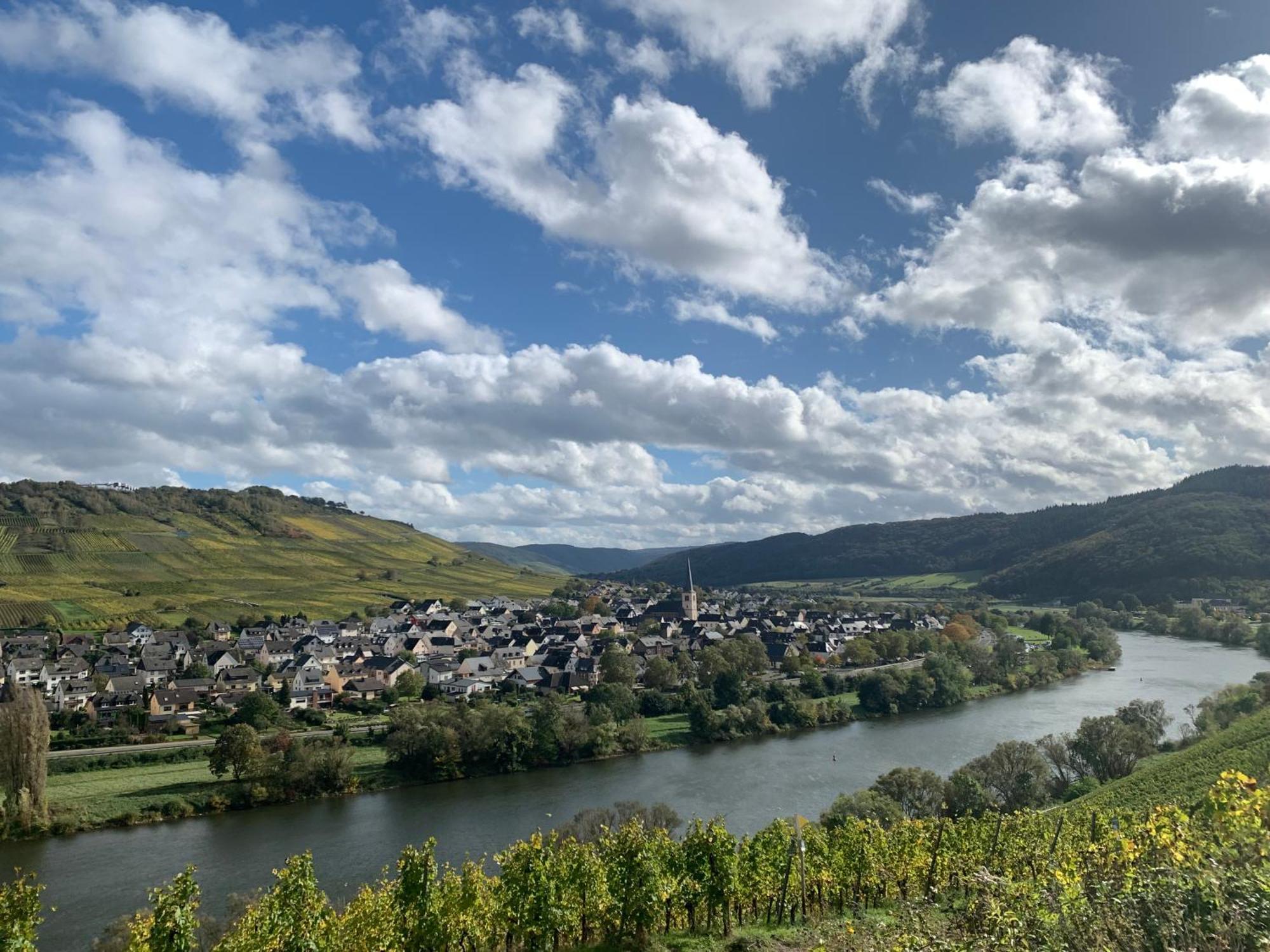 Weinhof Michael Morbach Pensión *